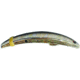 Brads Super Bait Casting/Trolling Lure, With Rolling Swivel And Scent Pad, Pearl Jack, 4in, SB-121