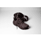 Brooks Ghost Trail Shoes - Mens