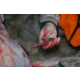 Browning Primal Folding Knives, 2.75in, 420-J2, Scalpel, Composite Handle, N, 3220431