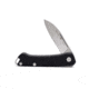 Buck Knives Saunter Folder DP Micarta