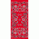 Buff Cashmere Headwear, Paisley Red 501187