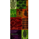 Buff National Geographic Headwear, Bless 504831