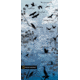 Buff National Geographic Headwear, Ocells 504832