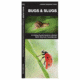 Bugs And Slugs, James Kavanagh, Publisher - Pocket Naturalist