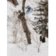 Burton Family Tree Hometown Hero Snowboard, Clear, 152, 22245100000-152