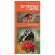 Butterflies &amp; Moths, James Kavanagh, Publisher - Pocket Naturalist