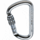 C.A.M.P. Steel D Lock Carabiner, Silver, 1877