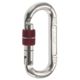 C.A.M.P. Steel Oval Lock Carabiner -Screwgate-