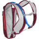 CamelBak Dart, Burgundy/Hot Coral, 1141601000