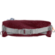 CamelBak Flash Belt, Burgundy/Hot Coral, 1846601000