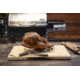Camp Chef Infusion Roaster Turkey Cannon, Silver, TKYC
