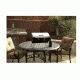 Camp Chef Portable BBQ Grill, Stainless Steel, PG100