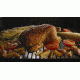 Camp Chef SmokePro STX Pellet Grill, BLACK, PG24STX