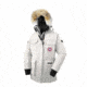 Canada Goose Expedition Parka - Women's-Silverbirch-X-Small