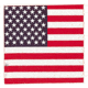 Carolina Manufacturing American Flag B22AME-000114
