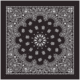 Carolina Manufacturing Bandana Paisley Terracotta B22PAI-000014
