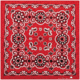 Carolina Manufacturing Texas Paisley Bandana Red B27PAI-100028
