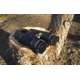 Carson Binocular Sunshades, Black BX-42