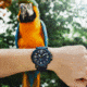Casio PRO TREK Tough Solar Triple Sensor Watch - Mens, Blue, PRG601YB-2
