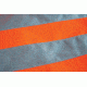 Caterpillar Hi-Vis Trademark Work Pant, Hi-Vis Orange-Black, 28/30 C172EHV-82F-28/30