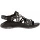 Chaco Z Eddy X2 Sandals - Women's
