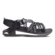 Chaco Z/Canyon 2 Sandal - Women's