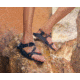 Chaco ZCloud Sandal - Womens, Rambling Navy, 8, Medium, JCH108014, 8