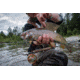Cheeky Fishing Limitless 325 Fly Reel, Orange/Silver, 2-4 wt, 3.25 in diameter, C-LIM-325-ROS