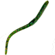 Chompers Drop Shot Worm, 1, 4in, Watermelon Candy, DS410-37