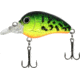 CHUBBS Panfish Square Bill, 1 1/4in, 1/16 oz, #12 Hook, Firetiger, Y125-22