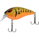 CHUBBS Rattling Square Bill, 2 3/4in, 11/16oz, #6 Hook, Orange Craw, YSBB-383