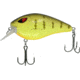 CHUBBS Rattling Square Bill, 2 3/4in, 11/16oz, #6 Hook, Spotted Perch, YSBB-377