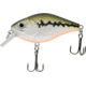 CHUBBS Square Bill, 2in, 5/16oz, #6 Hook, Baby Bass, Y122-015