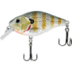 CHUBBS Square Bill, 2in, 5/16oz, #6 Hook, Blue Gill, Y122-007