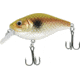 CHUBBS Square Bill, 2in, 5/16oz, #6 Hook, Shad Spot, Y122-097
