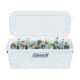 Coleman 316 Series 150-Quart Hard Cooler, Marine, CM1010810001-19