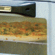 Coleman Camp Propane Stove/Oven Combo, Red 2000020944