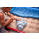 Coleman Tidelands Mummy Sleeping Bag, 50F, Big/Tall, Grey, CM1010410018-1