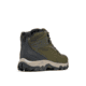 Columbia Newton Ridge Plus II Waterproof Hiking Boot - Mens, Deep Olive/Desert Sun, 10, 1594731-315-10
