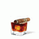 Corkcicle Cigar Glass 7101