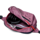 Cotopaxi Allpa 50L Adventure Travel Pack, Fig, A50A-S25-FIG