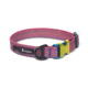Cotopaxi Del Dia Dog Collar