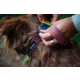 Cotopaxi Del Dia Dog Collar
