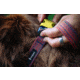 Cotopaxi Del Dia Dog Collar