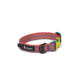 Cotopaxi Del Dia Dog Collar