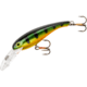 Cotton Cordell Wally Diver Crankbait, 2 1/2in, 1/4 oz, Floating, Gold Perch, CD595
