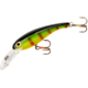 Cotton Cordell Wally Diver Crankbait, 2 1/2in, 1/4 oz, Floating, Perch, CD522