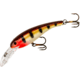 Cotton Cordell Wally Diver Crankbait, 2 1/2in, 1/4 oz, Floating, Special Perch, CD5343