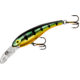 Cotton Cordell Wally Diver Crankbait, 3 1/8in, 1/2 oz, Floating, Gold Perch, CD695
