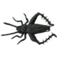 Creme Lures Small Black Cricket 2/Pack, 5148-22